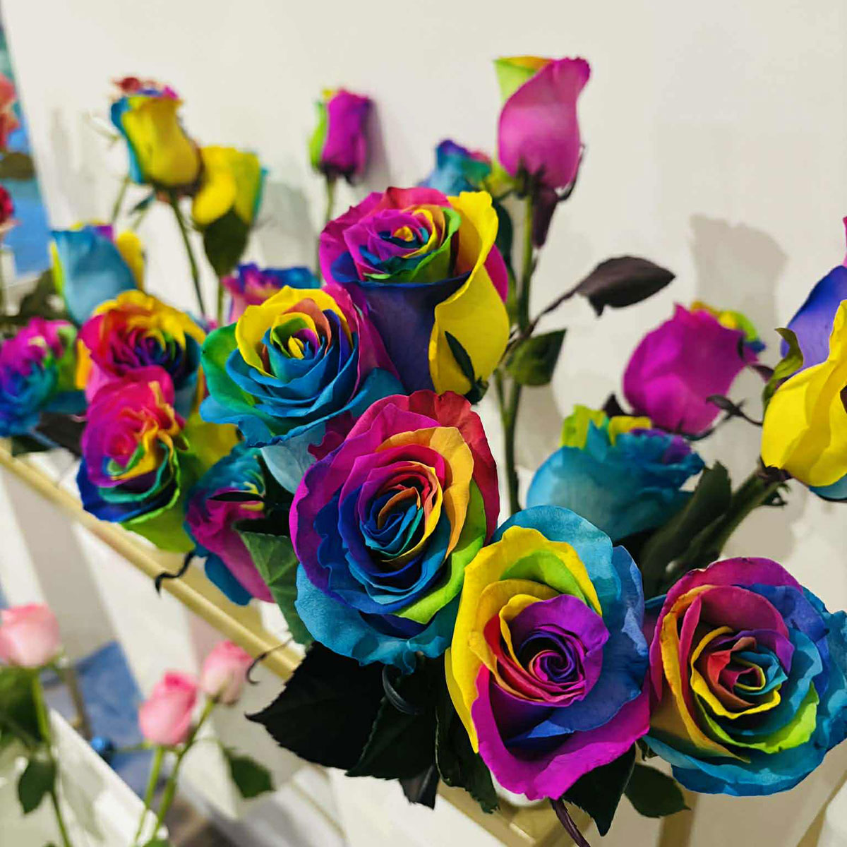 12 Rainbow Roses Radiant Rainbow Roses – The Floral Gem - Florist